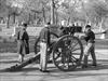 Preparation of cannon