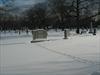 Squirrel tracks in the snow