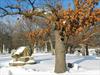 Chicago Light Artillery Monument