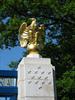 Golden Eagle