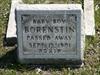 Baby Boy Borenstin