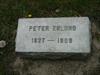 Peter Eklund