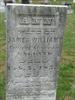 Ann Williams