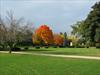 Fall colors