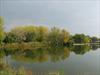 Lake with tree reflections