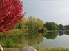 Lake with tree reflections
