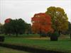 Fall colors