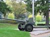 Cannon