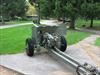 Cannon