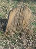 Wood marker