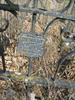 Metal fencing (closeup)