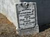 Patterson N. Craighead