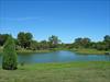 Pond