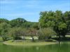 Pond