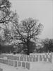 Union Civil War Soldiers