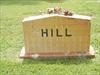 Hill