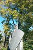 Granite carved monument by Laredo Taft