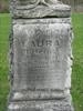 Laura Elfring