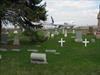 FedEx airplane behind cemetery