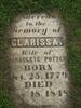 Clarissa Potter