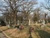 Overview